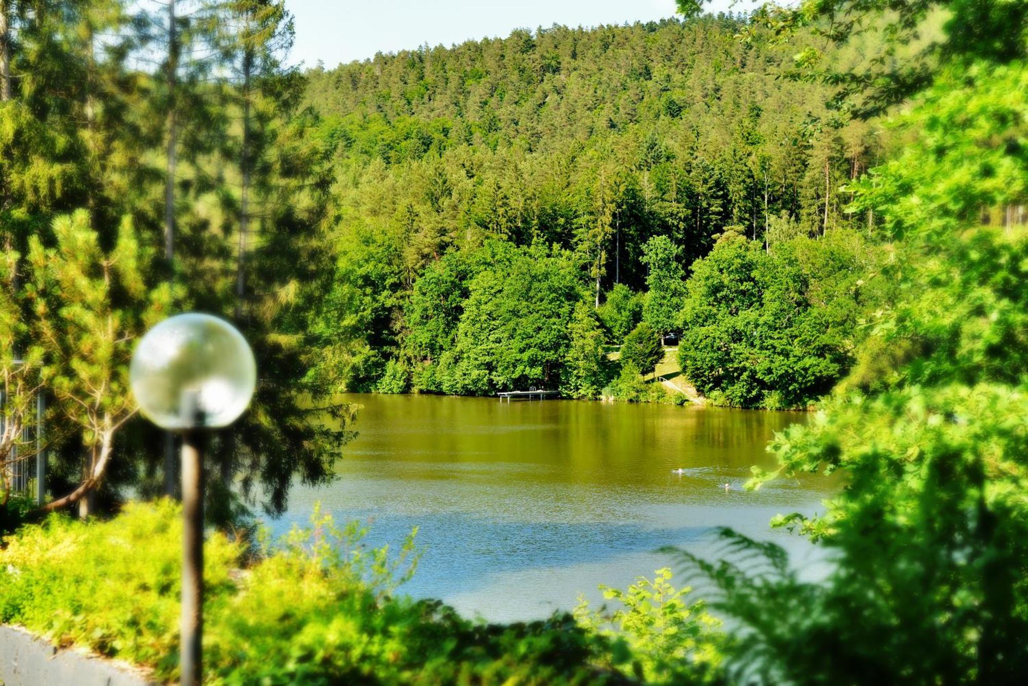 Das Dreiburgensee Naturhotel & Spa Thurmansbang ภายนอก รูปภาพ